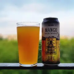 Szklanka z bursztynowym piwem i puszka mango sour ale od Browaru Żulawski na tle zieleni.