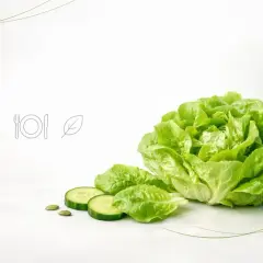 Świeża sałata, ogórek i pestki dyni zachęcają do jedzenia dużej ilości sałaty. Ikony serca, sztućców i liścia symbolizują zdrowie i naturę.