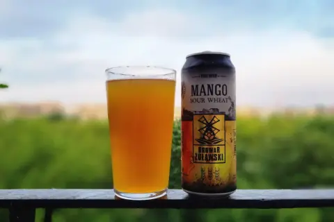 Szklanka z bursztynowym piwem i puszka mango sour ale od Browaru Żulawski na tle zieleni.