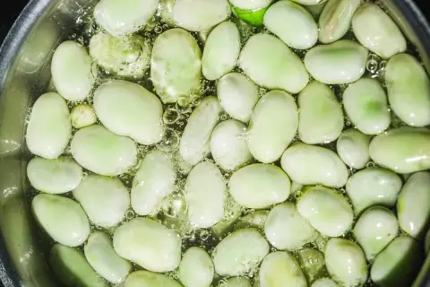 Bób jak gotować? Zielone ziarna bobu gotują się w wodzie, tworząc pyszne danie.
