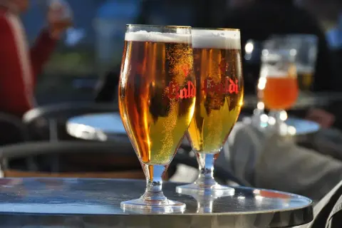 Dwa kieliszki złocistego piwa z pianką, idealne na letni wieczór. W tle widać innych gości i subtelny aromat chmielu, który sugeruje proces dry hopping.