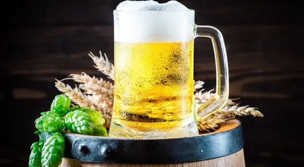 Chmiel i jęczmień zdobią kufel pełen orzeźwiającego american pale ale.