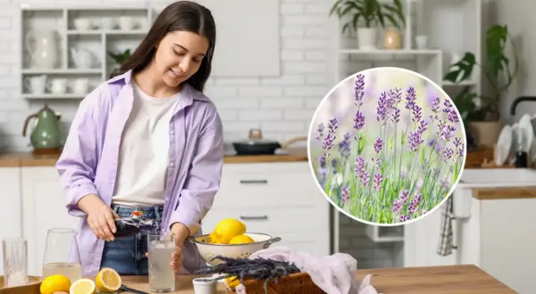 Kobieta przygotowuje napój z cytryną i lawendą. Jak jeść endywię? Może jako dodatek do napoju?
