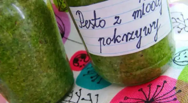 Dwa słoiki domowego pesto z młodej pokrzywy, gotowe do przechowywania.