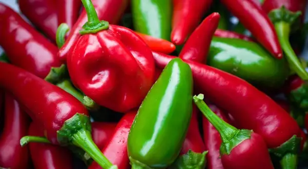 Gromadzenie papryczek chili, w tym zielonych jalapeno, które plasują się na skali Scoville'a, gotowych na pikantną przygodę.