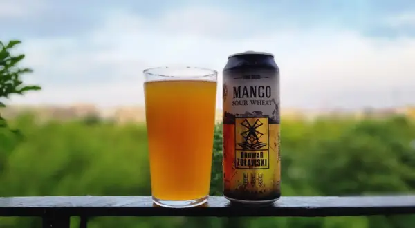 Szklanka z bursztynowym piwem i puszka mango sour ale od Browaru Żulawski na tle zieleni.