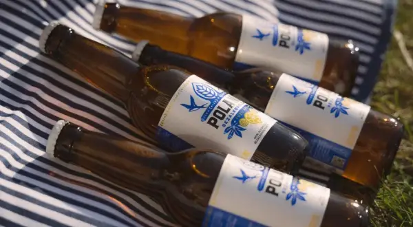 Butelki piwa bezalkoholowego na kocu. Czy piwo bezalkoholowe jest moczopędne? To pytanie zadaje sobie wielu, gdy relaksuje się na świeżym powietrzu.