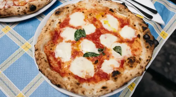 Pyszna pizza z samym serem, pomidorami i bazylią, z chrupiącym, lekko przypalonym brzegiem, na niebiesko-żółtym obrusie.