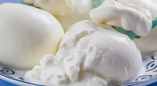 Świeża burrata, co to jest? Delikatny ser mozzarella z kremowym wnętrzem, podany na talerzu.