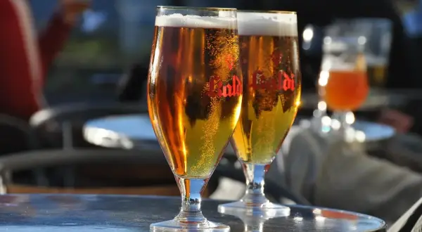 Dwa kieliszki złocistego piwa z pianką, idealne na letni wieczór. W tle widać innych gości i subtelny aromat chmielu, który sugeruje proces dry hopping.