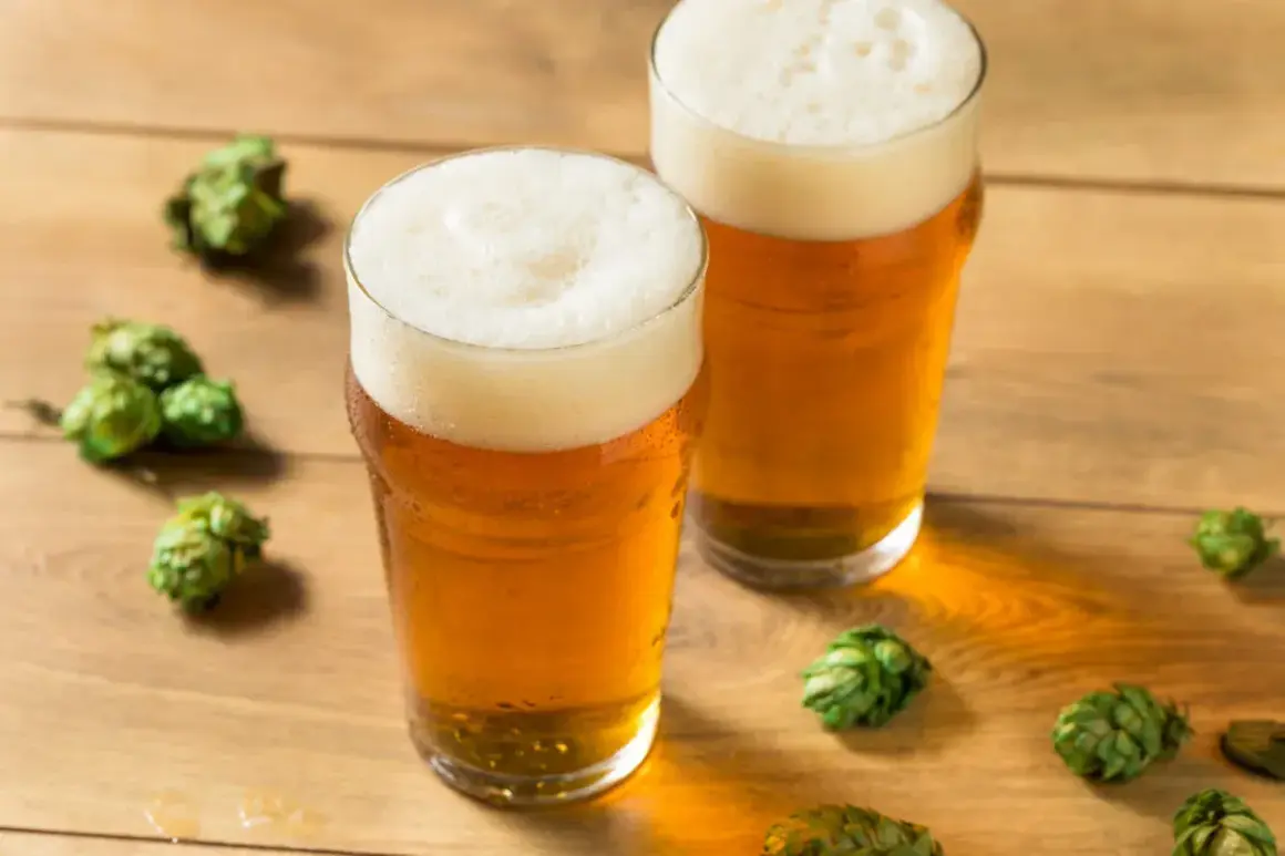 Dwa szklanki orzeźwiającego hazy IPA na drewnianym blacie, otoczone świeżymi szyszkami chmielu.