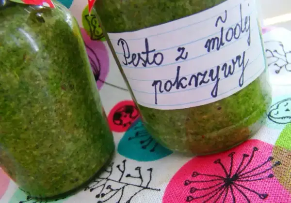 Dwa słoiki domowego pesto z młodej pokrzywy, gotowe do przechowywania.