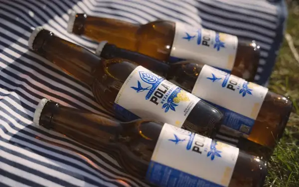 Butelki piwa bezalkoholowego na kocu. Czy piwo bezalkoholowe jest moczopędne? To pytanie zadaje sobie wielu, gdy relaksuje się na świeżym powietrzu.