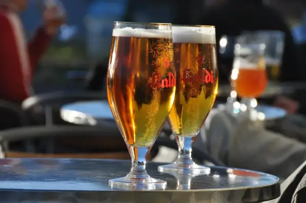 Dwa kieliszki złocistego piwa z pianką, idealne na letni wieczór. W tle widać innych gości i subtelny aromat chmielu, który sugeruje proces dry hopping.